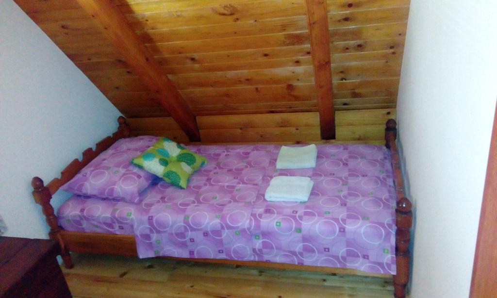 Vacation Home Nana Mokra Gora Exteriör bild