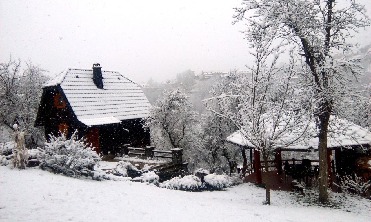 Vacation Home Nana Mokra Gora Exteriör bild