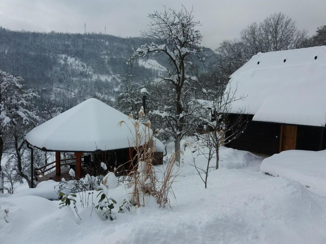 Vacation Home Nana Mokra Gora Exteriör bild